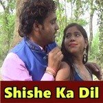 Shailesh Sagar Songs MP3 Download